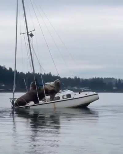 Leaving your boat in the water... where it belongs