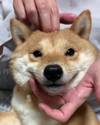 He is getting his head massaged. Look at his happy face.