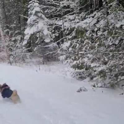 He grew up in Florida. Everyone asks if he is okay in the snow: