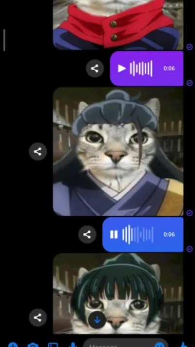 Jujutsu Catsen