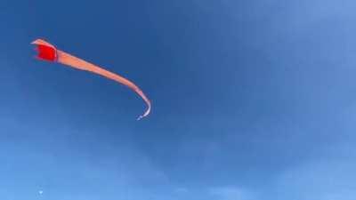 Flying a kite at a kite festival