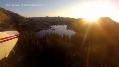 Thousands of fish are regularly dropped from a plane to restock Utah lakes