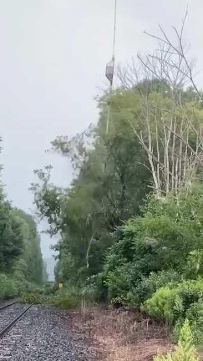 Helicopter tree trimming