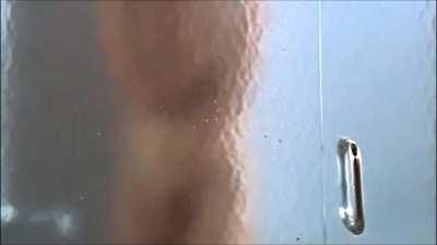 Daryl Hannah's ass in Roxanne (1987) rated PG, see-through shower in Two Much (1995) rated PG-13, and nipslip in Keeping Up with the Steins (2006) rated PG-13