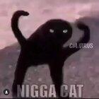 Nigga cat