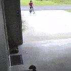 Boy sneaks into neighbors garage to hug doggo