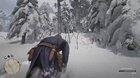 trying to reason with a bear