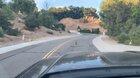 Streetfight: Bobcat Vs. Rattlesnake in the San Fernando Valley