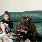 Bear killer