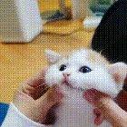 Squishy and mushy and all around cute