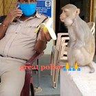 Indian Police Officer feeding an amputee monkey