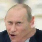 Cursed putin