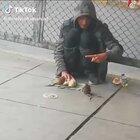 Homeless man teaches different rats multiple tricks.