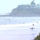 WCGW if they open only a couple beaches in San Diego?