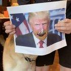 Trump + dog tongue = trauma