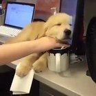 When your coworker won’t stop sleeping on the job