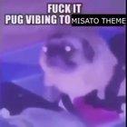 Fuck it Pug vibing to Misato Theme