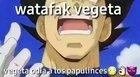 Vegeta danksito