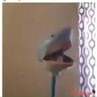Hoo?