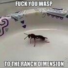 all da homies hate wasps