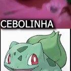 Ash ketchum pereira