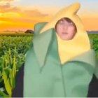 corn