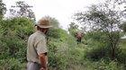 Man halts charging elephant