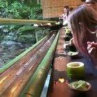 Kyoto : Noodles from a bamboo tube anyone?