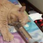 Sound on