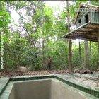 Watch a guy make his own pool in the woods - the classic.
